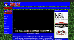 Desktop Screenshot of nbgsasoftball.com
